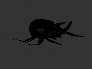 Insect Anomala Grandis Model 3D