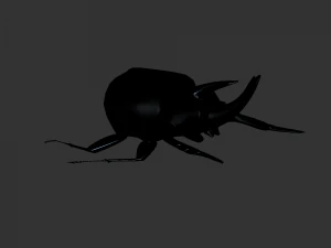 Insect Anomala Grandis 3D Model