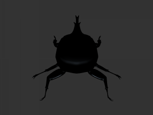 Insect Anomala Grandis Model 3D