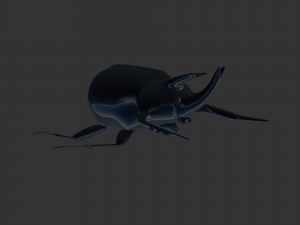 Insect Anomala Grandis Model 3D