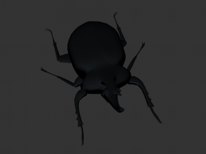 Insect Anomala Grandis Model 3D