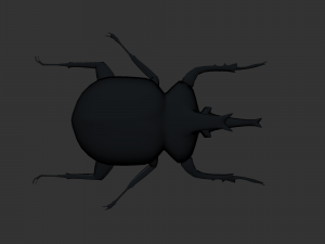 Insect Anomala Grandis Model 3D