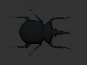 Insect Anomala Grandis 3D Model