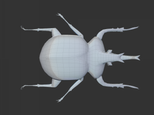 Insect Anomala Grandis Model 3D