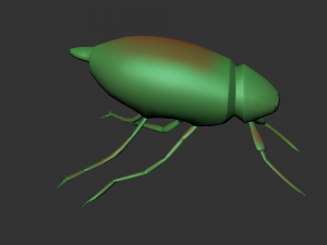 Xilotrupi di insetti Modello 3D