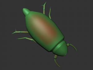 Xilotrupi di insetti Modello 3D