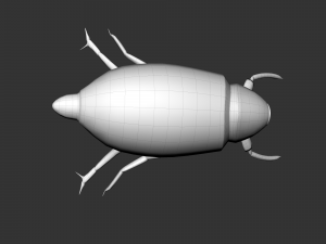 Xilotrupi di insetti Modello 3D