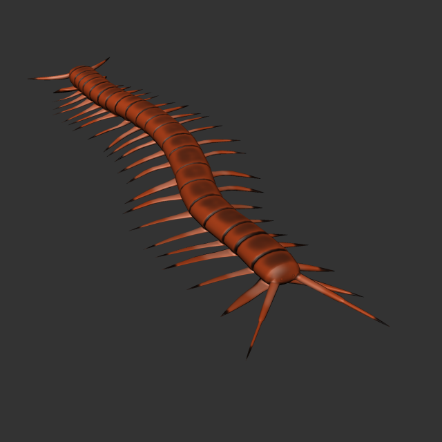 Insect Scolopenda Morsitans Modèle 3D .c4d .max .obj .3ds .fbx .stl .blend 