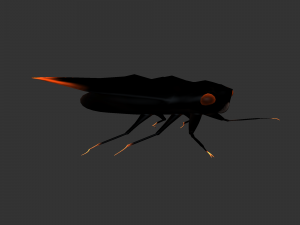 Insect Cryptotympana aquila Modèle 3D