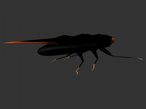 Insect Cryptotympana aquila Modèle 3D