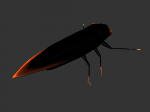 Insect Cryptotympana aquila Modèle 3D