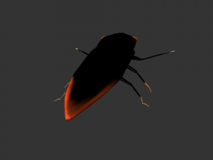 Insect Cryptotympana aquila Modèle 3D