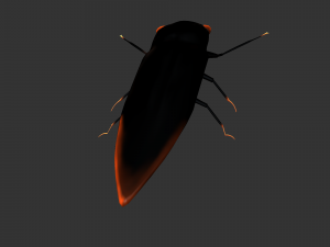 Insect Cryptotympana aquila Modèle 3D