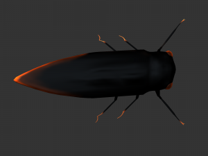 Insect Cryptotympana aquila Modèle 3D