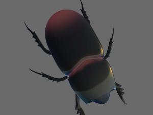 Insect Trichogormphus martabani 3D Model