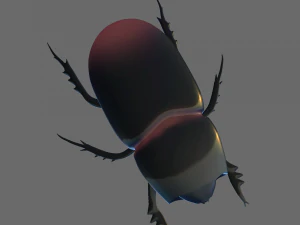 昆虫 Trichogomphus martabani 3Dモデル