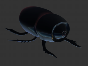 Insect Trichogormphus martabani 3D Модель