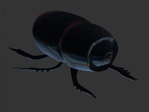 Insect Trichogormphus martabani 3D Model