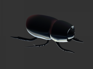 Insect Trichogormphus martabani 3D Модель