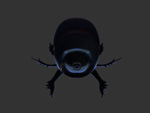 Insect Trichogormphus martabani 3D Модель