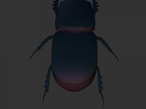 Insect Trichogormphus martabani 3D Модель