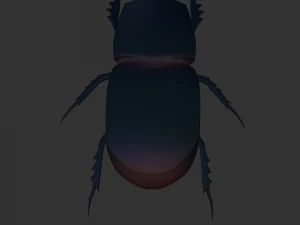 Insect Trichogormphus martabani 3D Model