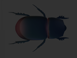 Insect Trichogormphus martabani 3D Модель