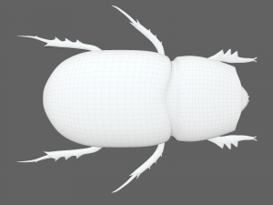 Insect Trichogormphus martabani 3D Модель