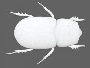 Insect Trichogormphus martabani 3D Model