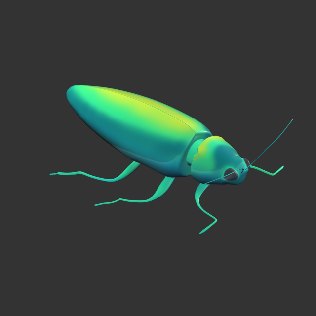 Insect Chrysochroa rajah Model 3D .c4d .max .obj .3ds .fbx .stl .blend 
