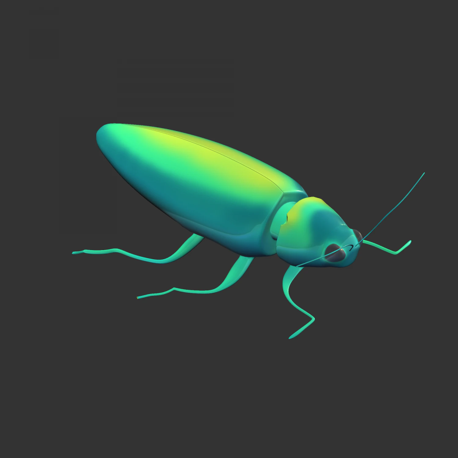 Insect Chrysochroa rajah 3D Model .c4d .max .obj .3ds .fbx .stl .blend 