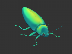 Insect Chrysochroa rajah Model 3D