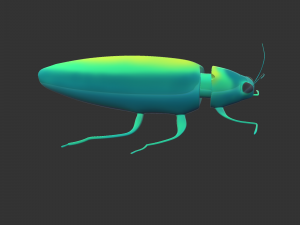 Insect Chrysochroa rajah Model 3D