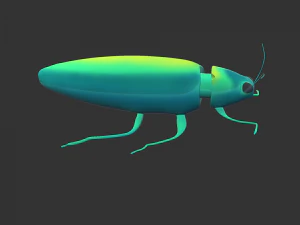 Insect Chrysochroa rajah 3D Model