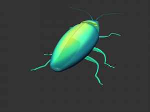 Insect Chrysochroa rajah Model 3D