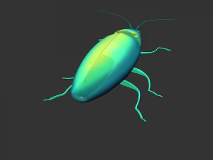 Insect Chrysochroa rajah 3D Model