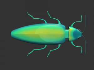 Insect Chrysochroa rajah Model 3D