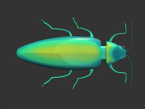 Insect Chrysochroa rajah 3D Model