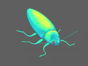 Insect Chrysochroa rajah 3D Model
