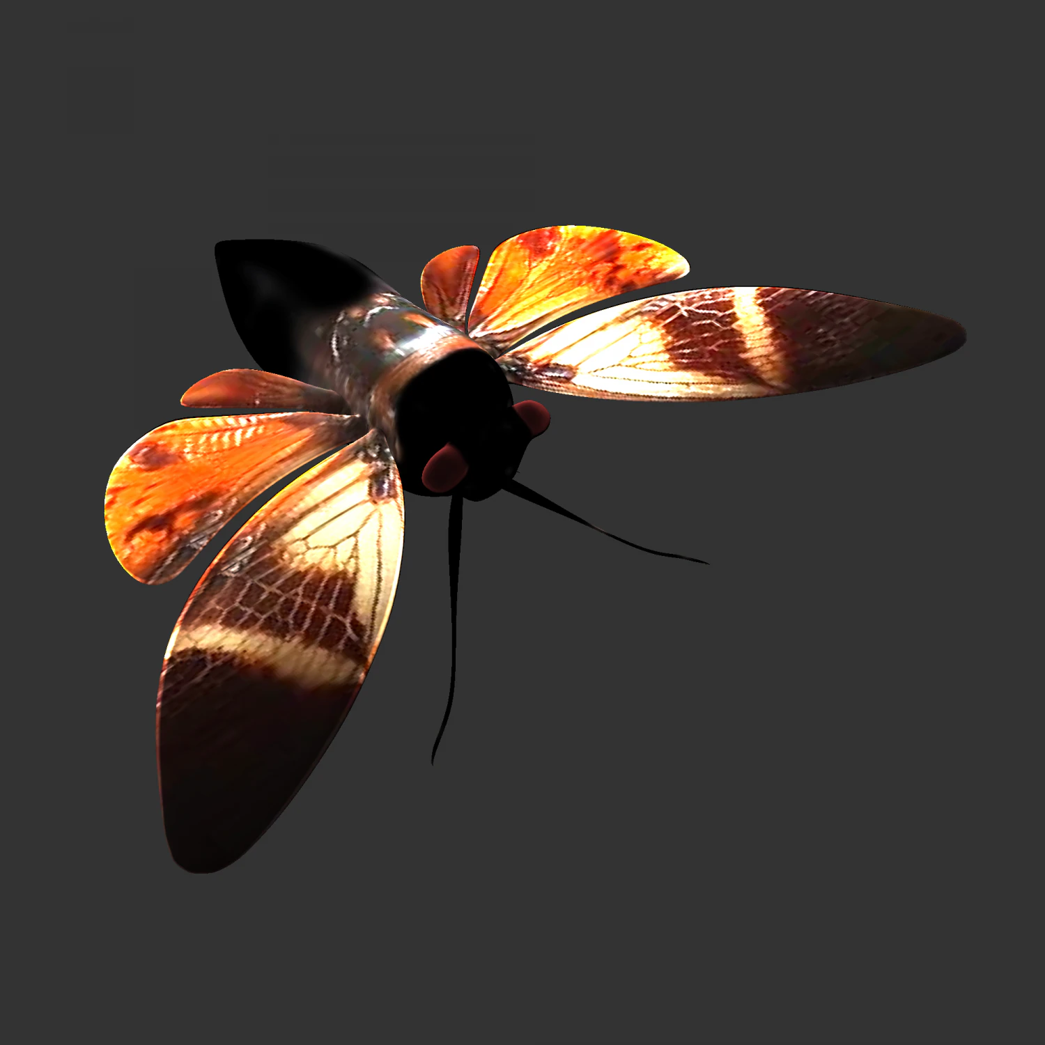 Insect Angamiana floriduanafbx 3D Model .c4d .max .obj .3ds .fbx .stl .blend 