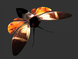 Insect Angamiana floriduanafbx 3D Model
