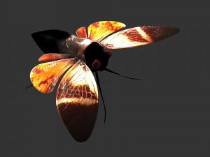 Insect Angamiana floriduanafbx 3D-Modell