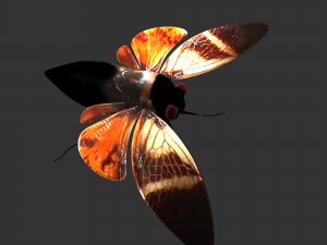 Insect Angamiana floriduanafbx 3D-Modell