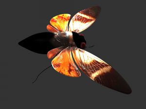 Insect Angamiana floriduanafbx 3D-Modell