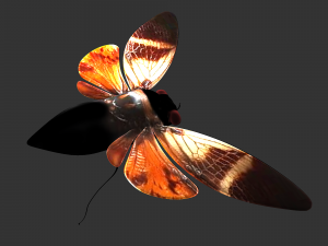 Insect Angamiana floriduanafbx 3D-Modell