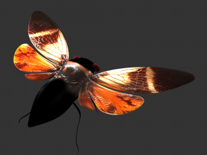 Insect Angamiana floriduanafbx 3D-Modell