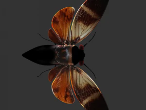 Insect Angamiana floriduanafbx 3D Model