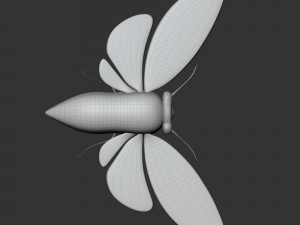 Insect Angamiana floriduanafbx 3D-Modell