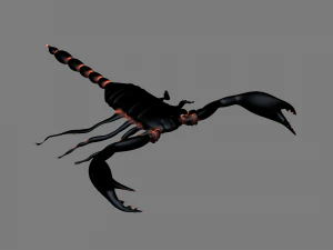 Insekt Angamiana floridula 3D Modell