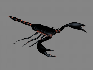 Insect angamiana floridula Modèle 3D